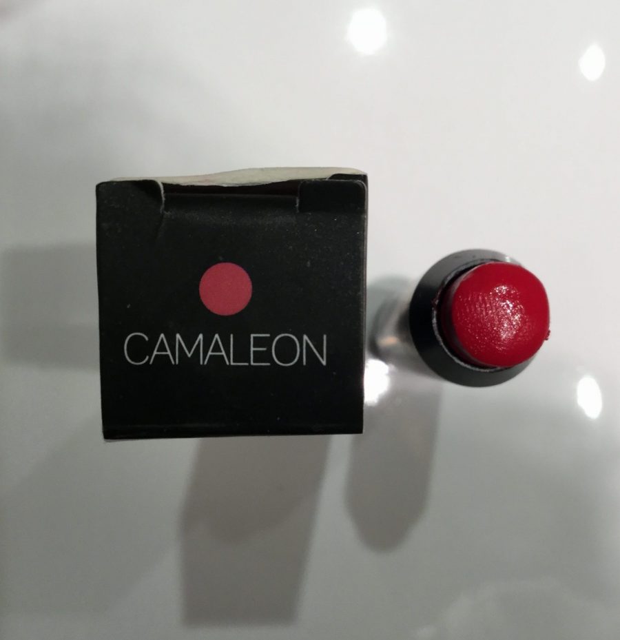 camaleon, labial, pintalabios, redlips, miss clov, rebeca valdivia, personal shopper, donostia